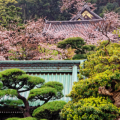 Kamakura - Swiatynia Hase-Dera